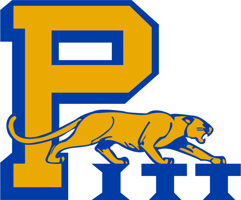 Pittsburgh Panthers 1972-1974 Primary Logo diy iron on heat transfer